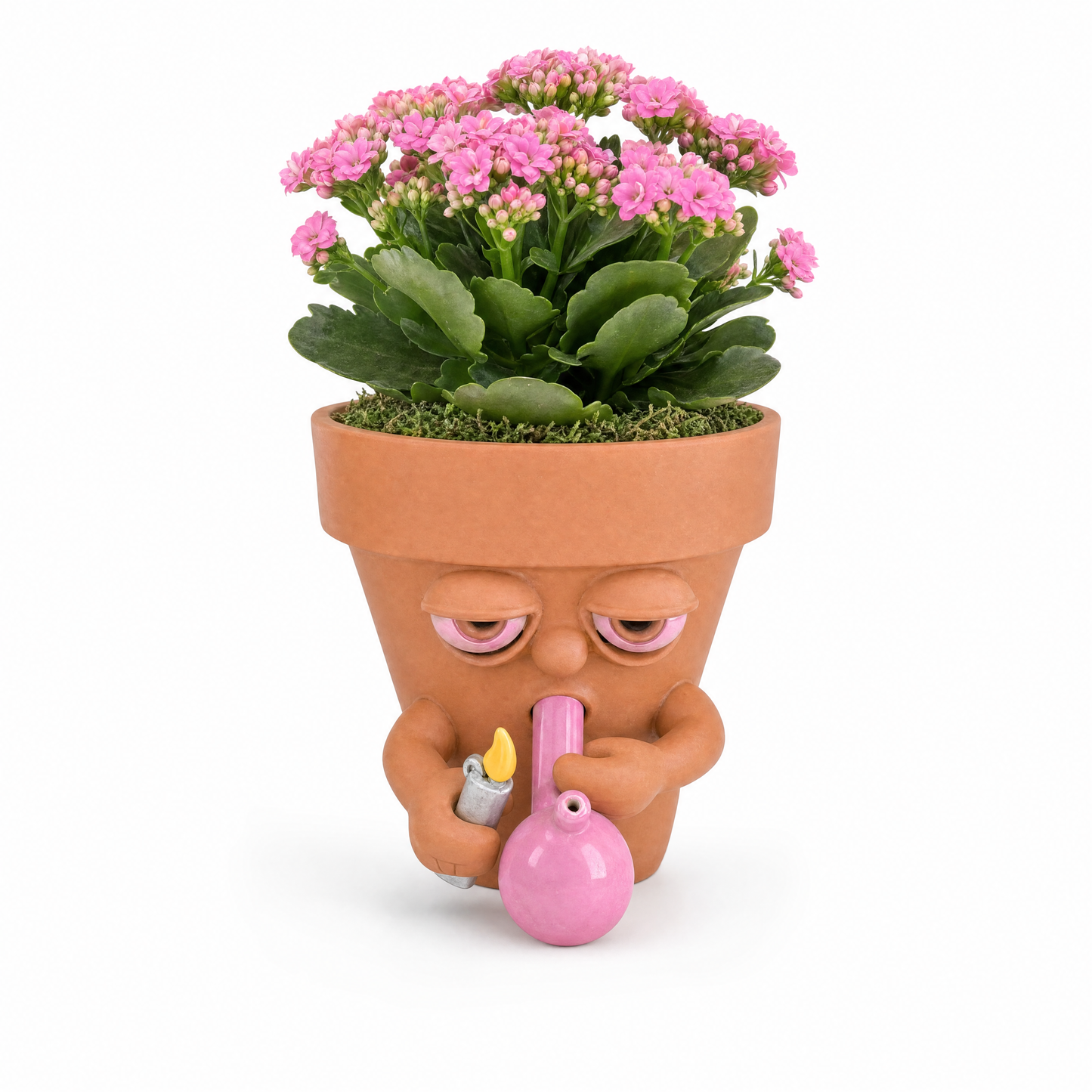 SleepySprouts™ - Pot Plants