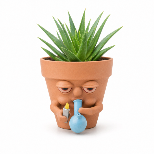SleepySprouts™ - Pot Plants